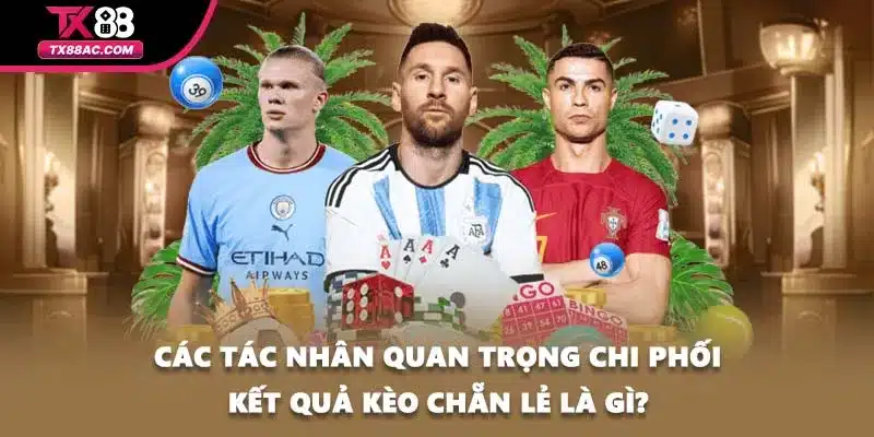 Các tác nhân quan trọng chi phối kết quả kèo chẵn lẻ là gì?