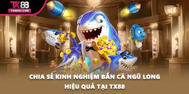 Chia sẻ kinh nghiệm bắn cá Ngũ Long hiệu quả tại TX88