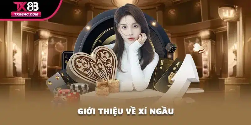 Giới thiệu về xí ngầu