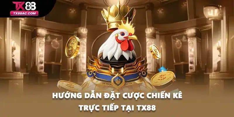Hướng dẫn đặt cược chiến kê trực tiếp tại TX88