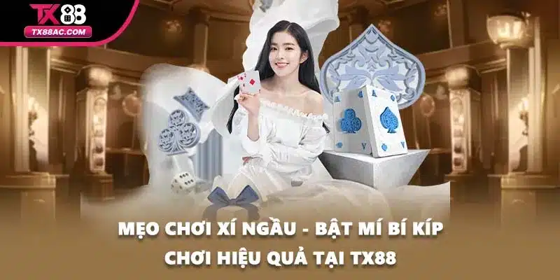 Mẹo Chơi Xí Ngầu - Bật Mí Bí Kíp Chơi Hiệu Quả Tại TX88