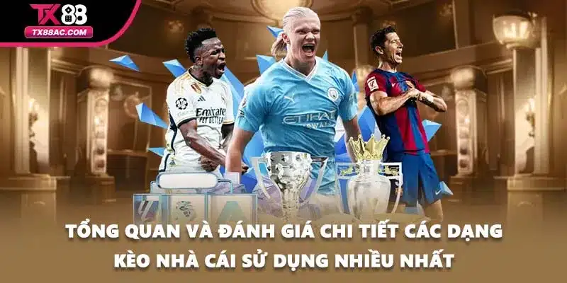 Tổng quan và đánh giá chi tiết các dạng kèo nhà cái sử dụng nhiều nhất