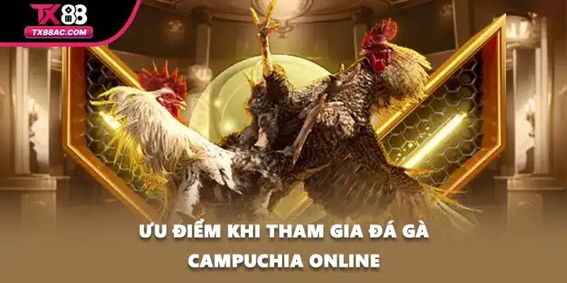 Ưu điểm khi tham gia đá gà campuchia online